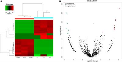 Circular RNA hsa-circ-0005238 enhances trophoblast migration, invasion and suppresses apoptosis via the miR-370-3p/CDC25B axis